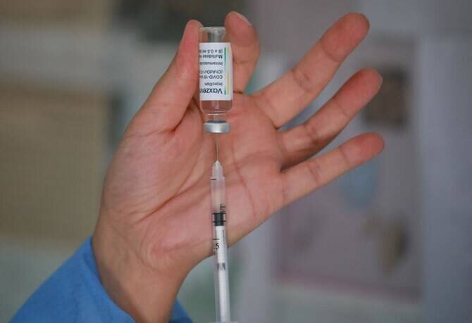 Rift Valley Fever Outbreak Claims 20 Lives in Senegal