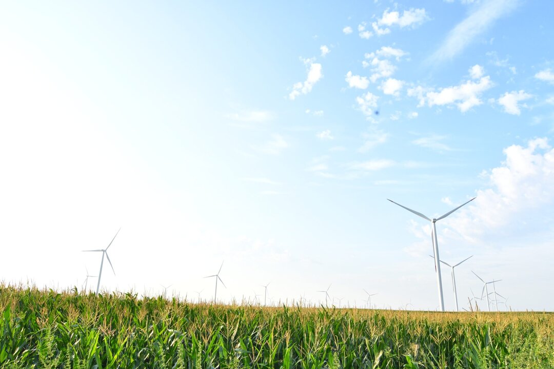 EU Encourages Serbia to Reform and Join Western Energy Transition