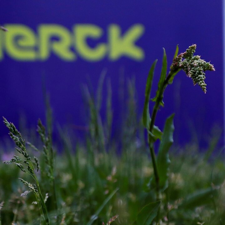 Merck Adjusts Outlook and Eyes Expansion Through Strategic Deals