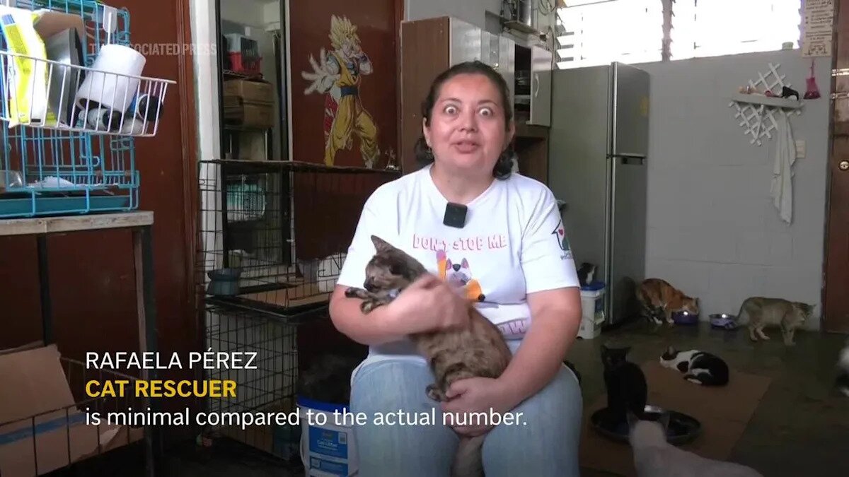 President Bukele Seeks Public Help to Care for El Salvador’s Stray Animals