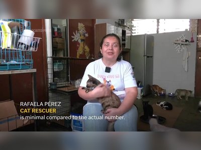 President Bukele Seeks Public Help to Care for El Salvador’s Stray Animals