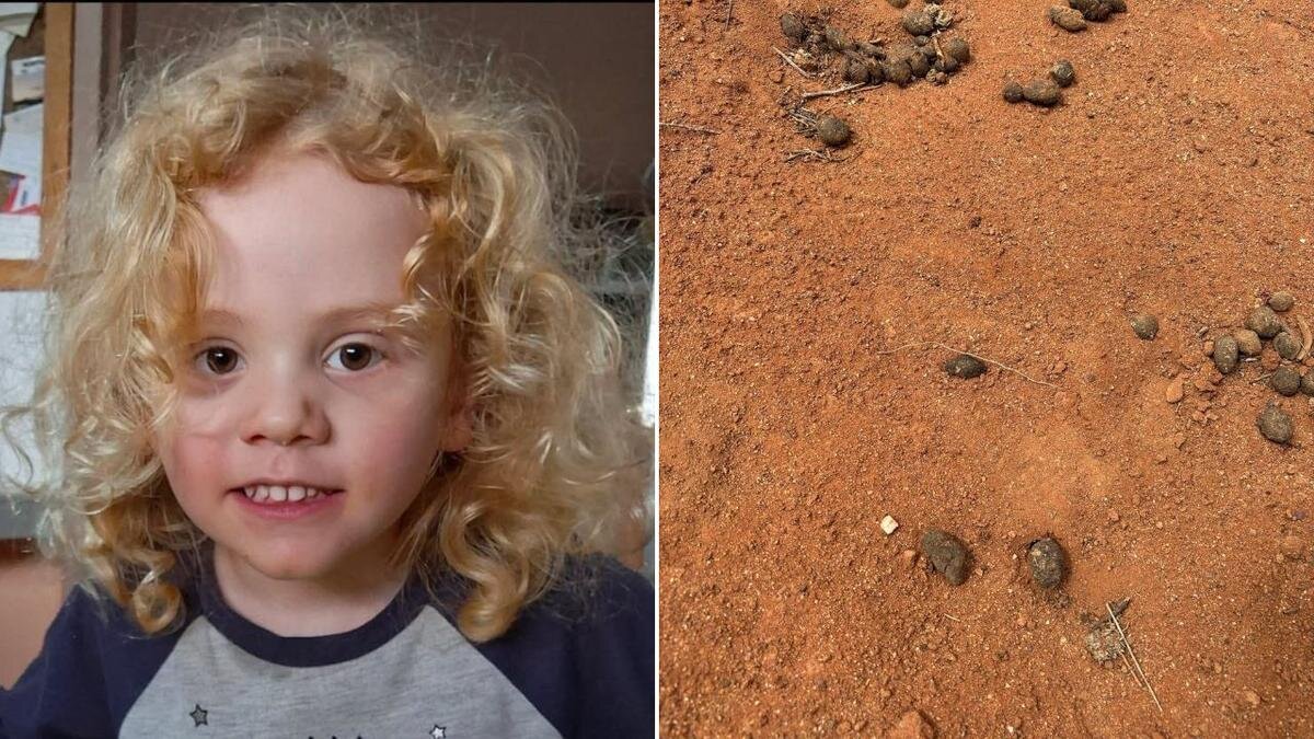 Police End Search for Missing Boy in Australian Outback