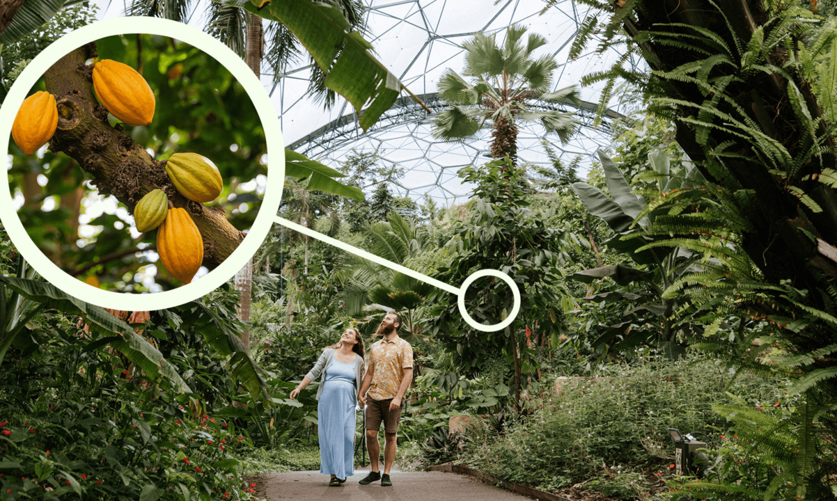 New Eden Project Film Premieres at the Royal Society