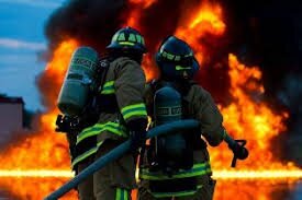 Over 800 Wildfires Recorded Across Algeria in 2025
