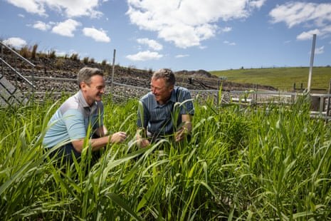 Australian Scientists to Measure Global Value of Floating Wetlands