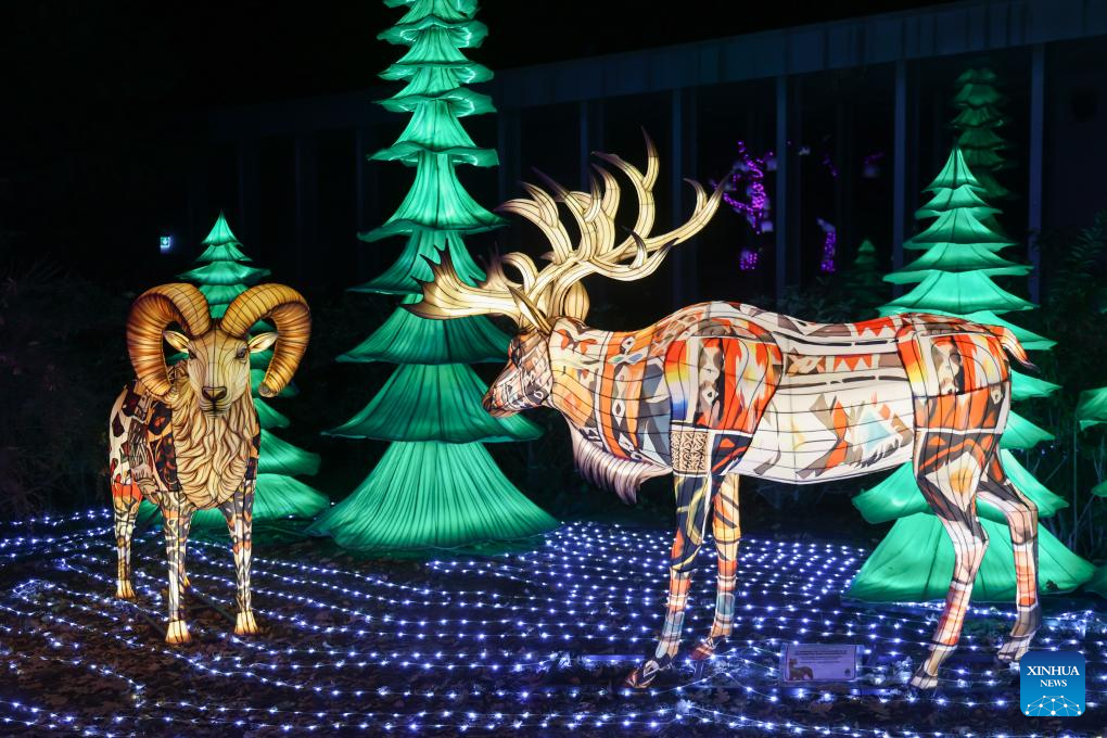 Animals of the World Chinese Lantern Festival Lights Up Budapest