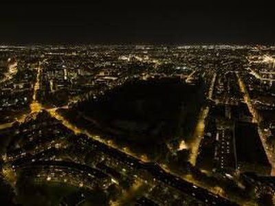 Amsterdam Zoo Recognized for Protecting Nocturnal Darkness