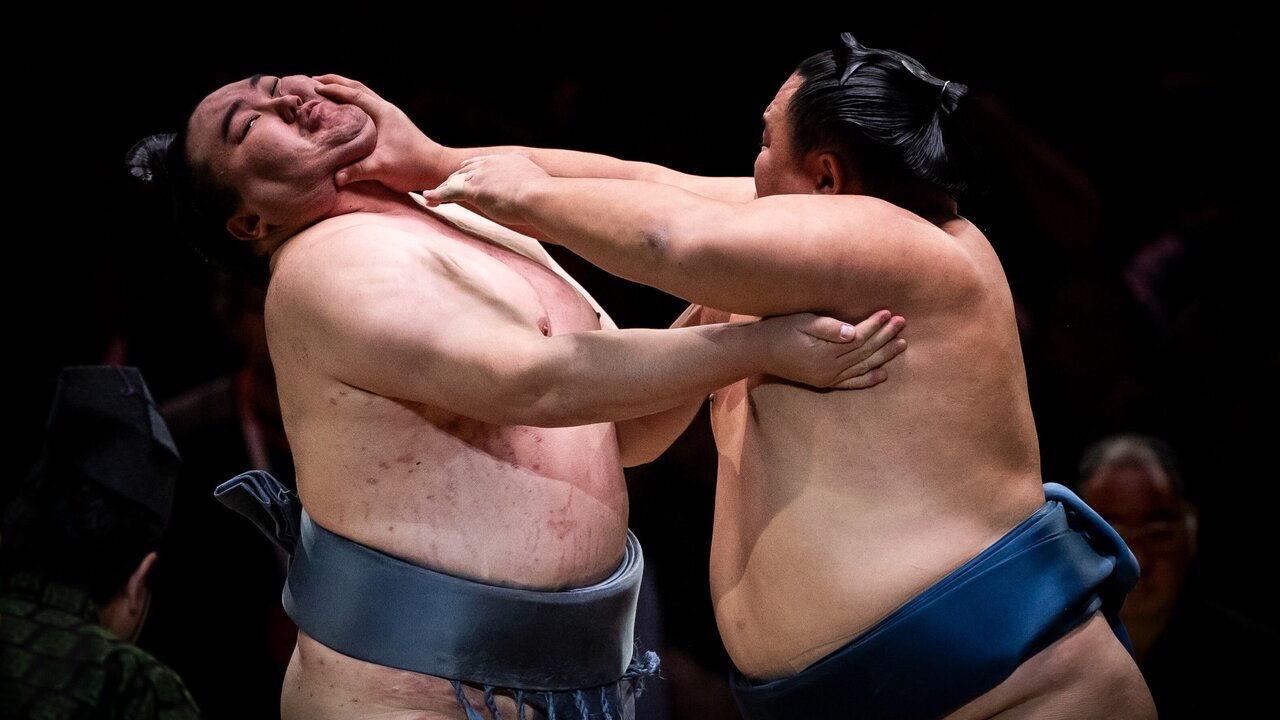 Sumo Wrestling Finds a Surprising Fan Base in Britain