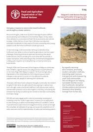 Belgian Contribution Boosts Emergency Aid in Iraq