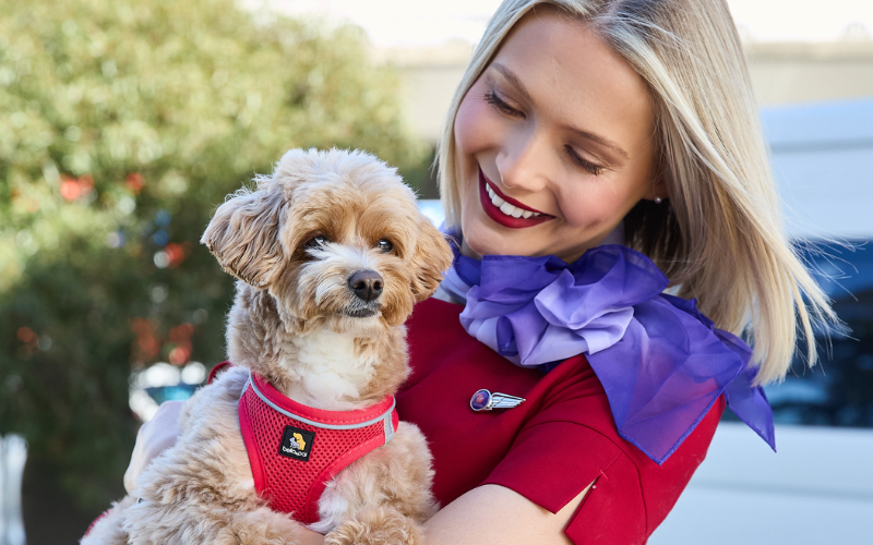 Virgin Australia Launches Nation’s First ‘Pets in Cabin’ Flights
