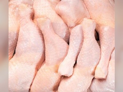 Superior Foods otvara veliki pogon za preradu peradi u Srbiji