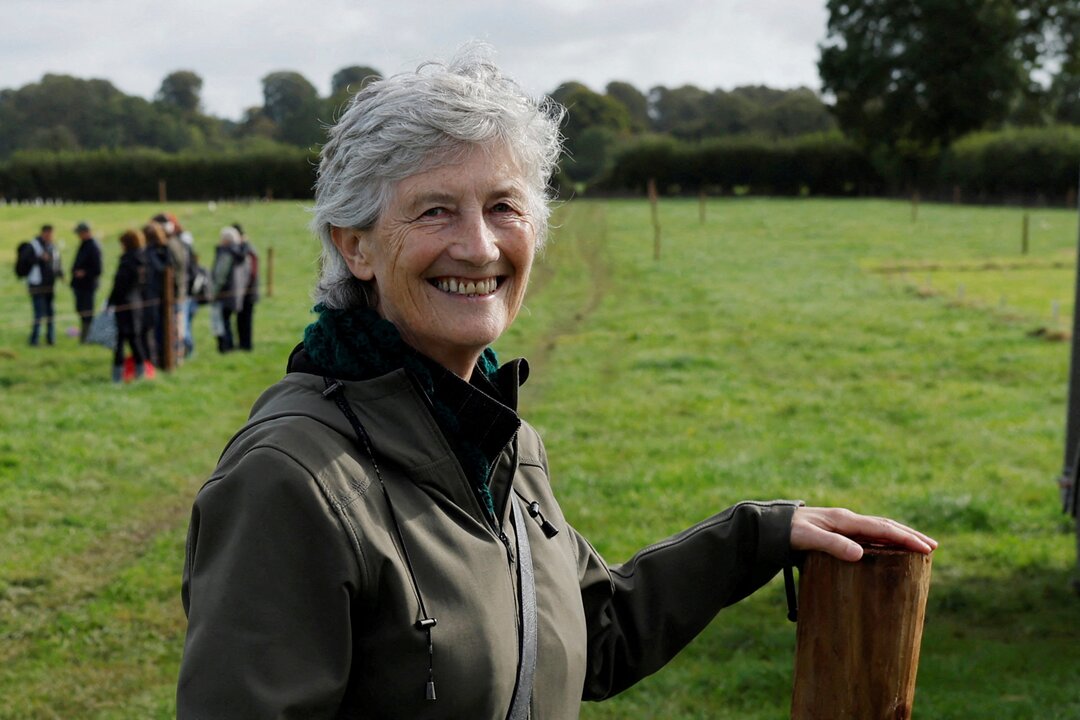 Ireland Set to Elect Left-Wing President in Political Shift