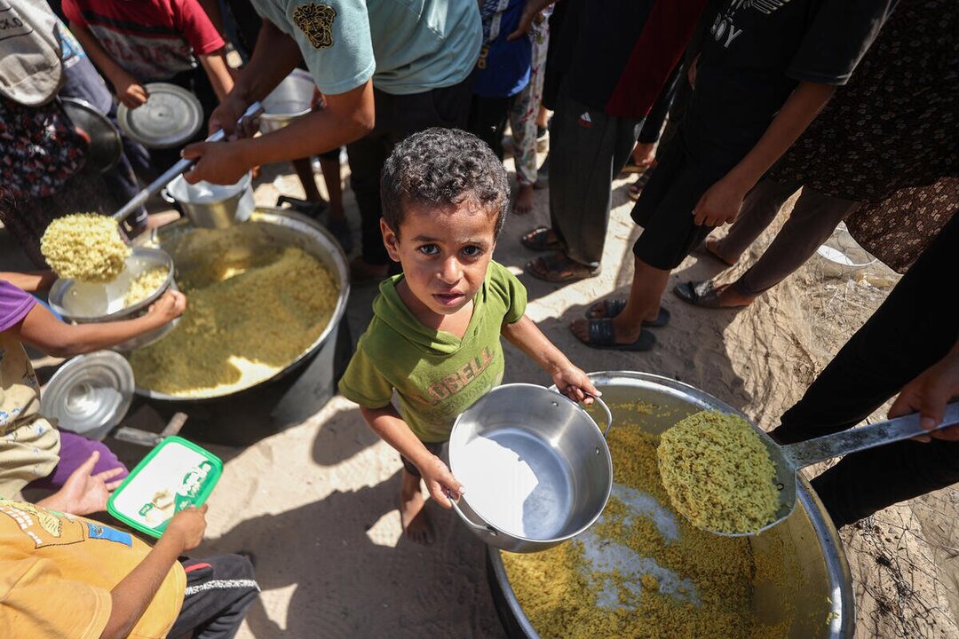 World Food Programme Reports Progress and Challenges in Iraq