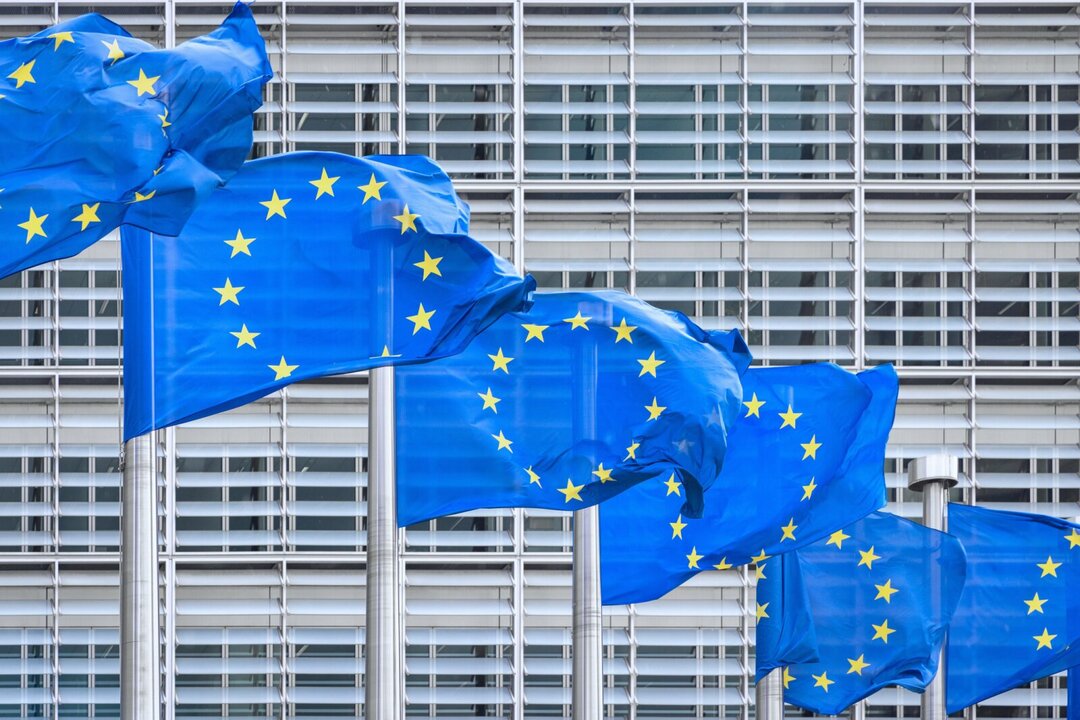 EU Considers Revisions to Sustainability Law Amid Global Pressure