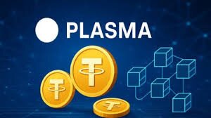 Plasma Secures License to Operate Crypto Services in Amsterdam