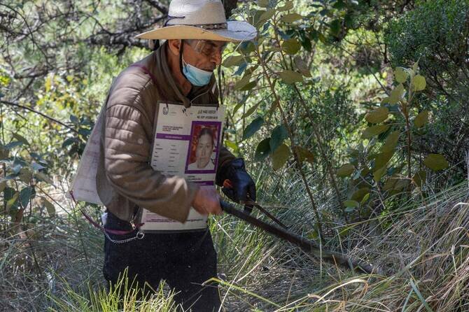 Families Search Mexican Forest for Remains of Over 100 Missing