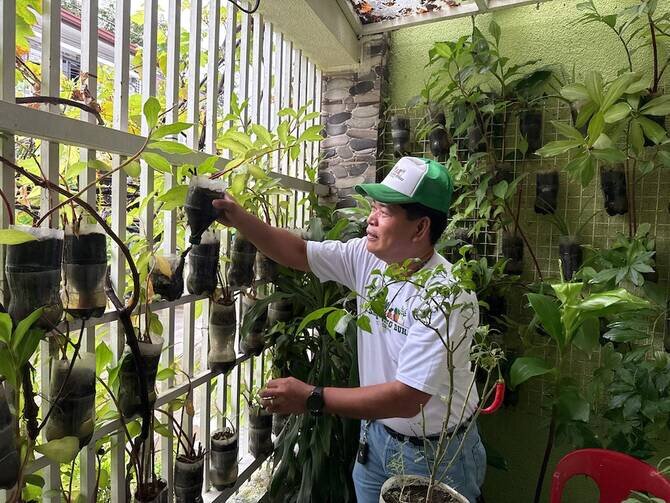 Filipinos turn to urban farming as food prices soar in Manila