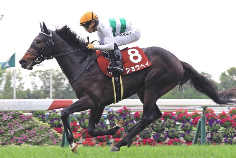 Global Racing Highlights Build Momentum Ahead of 2025 Breeders’ Cup