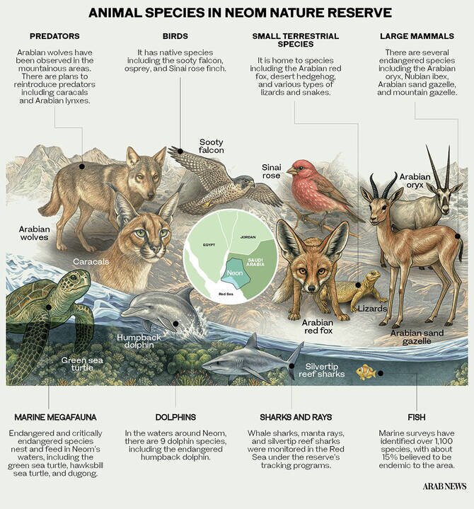 Neom Nature Reserve's Visionary Approach to Biodiversity Conservation