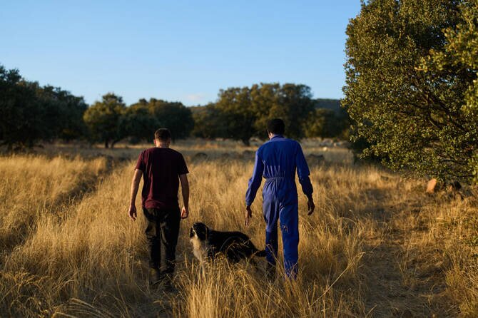 Ancient Trade Revived: African Migrants Propel Spain's Neglected Shepherding Industry