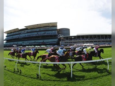At Least 174 Thoroughbred Racehorses Died in Australia in Past Year, Report Finds