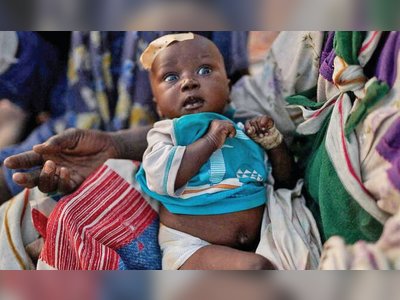 Over 1,850 Sudanese Civilians Killed in North Darfur This Year, UN Says, Calls for El-Fasher Siege to End