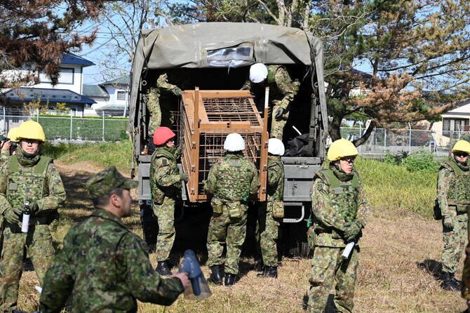 Japan Deploys Military to Combat Increasing Bear Attacks