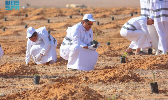 Royal Reserve Plants Over 3,000 Seedlings in Jouf