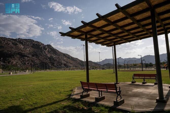 Najran Expands Green Spaces with New Trees