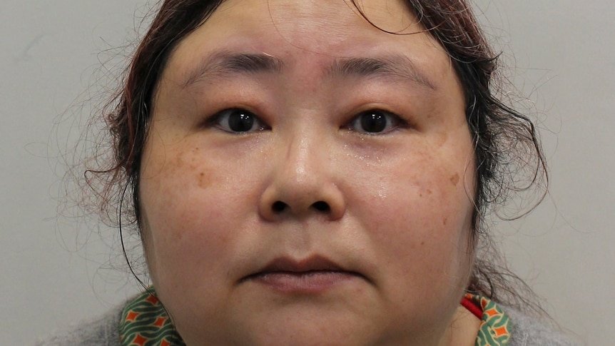 Chinese 'Crypto-Queen' Jailed in UK After £5bn Bitcoin Laundering