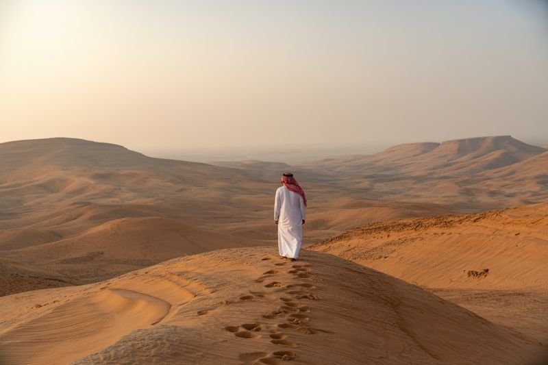 Saudi Arabia and WEF Unveil Global Initiative to Transform the Future of Tourism