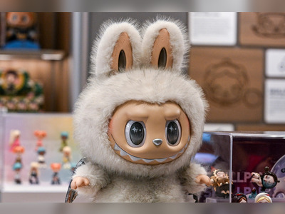 “Not Just One, but Thirty” — The U.S. Blind-Box Toy Frenzy Driven by Labubu Mania