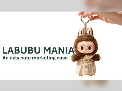 “Not Just One, but Thirty” — The U.S. Blind-Box Toy Frenzy Driven by Labubu Mania