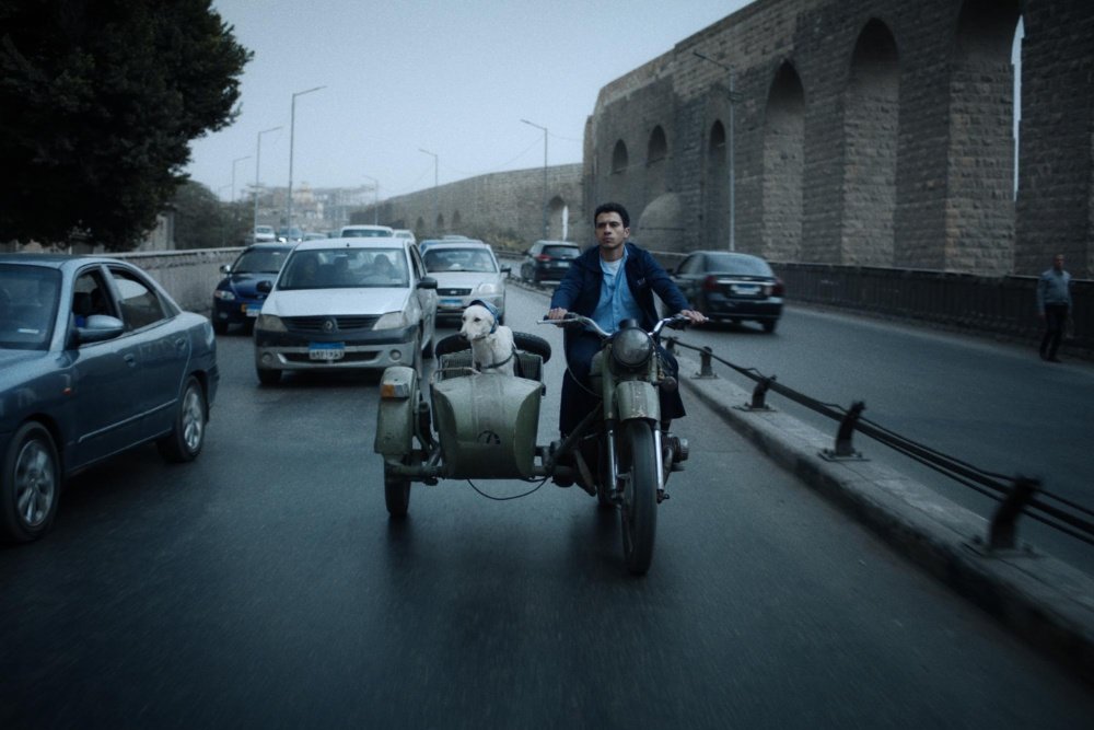 Saudi Arabia Emerges as Key Export Market for Egyptian Cinema