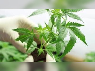 Aurora Cannabis Accelerates International Strategy with Senior Leadership Appointment for Australia and New Zealand