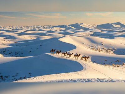 Rare Winter Snowfall Blankets Parts of Saudi Arabia, Turning Desert Landscapes White