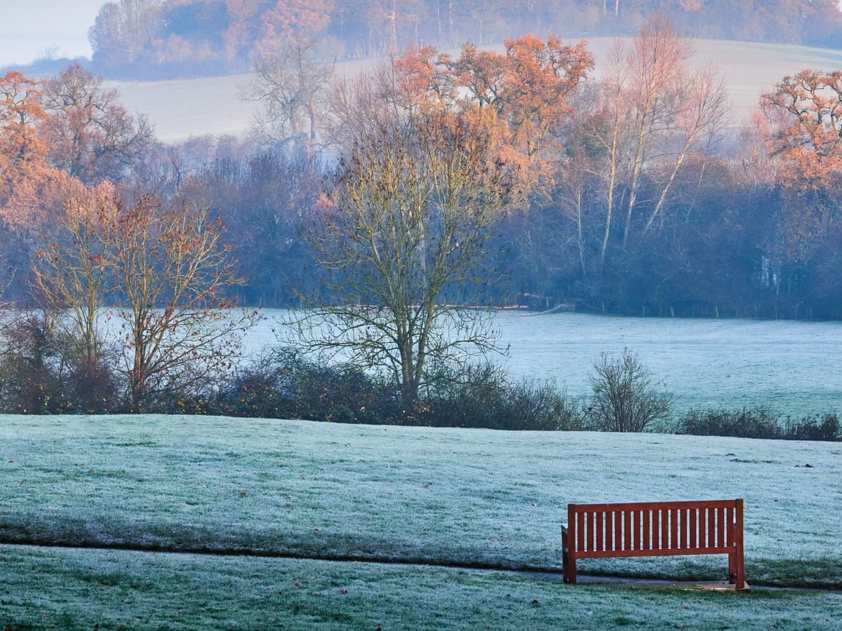 White Christmas Unlikely in UK as Health Authorities Warn of Sharp Temperature Drop
