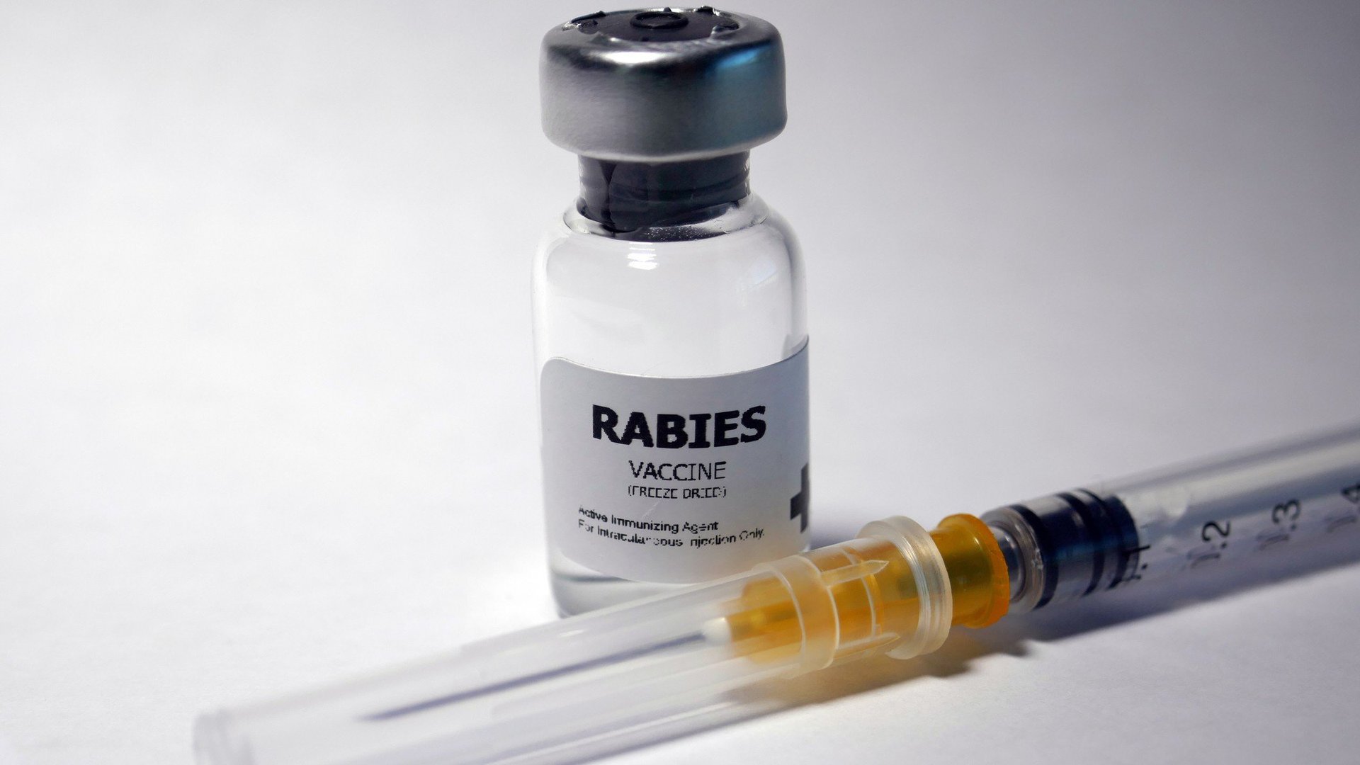 Indian Manufacturer Challenges Australian Health Advisory Over Rabies Vaccine Alert