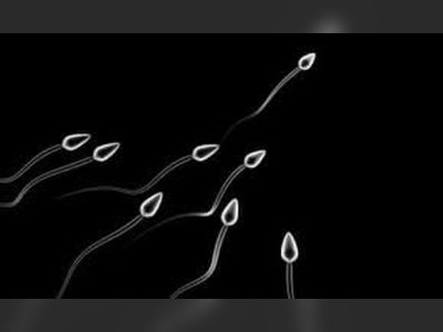 Dänemarks globale Spermienexportindustrie sieht sich nach einem Fall genetischer Mutation kritischer Betrachtung gegenüber.