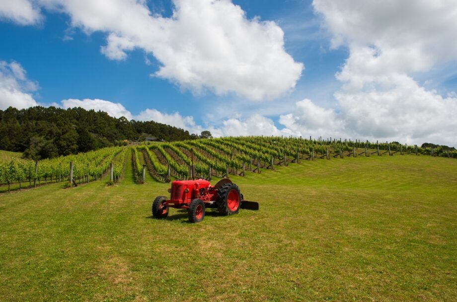 Southern Hemisphere Stars in Global Wine Rankings as Australia, New Zealand and South Africa Shine in 2025