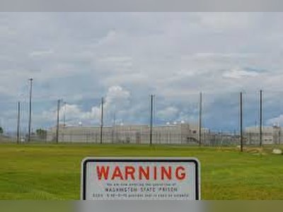 Three Inmates Killed and More Than a Dozen Hospitalised After Violent Brawl at Georgia’s Washington State Prison