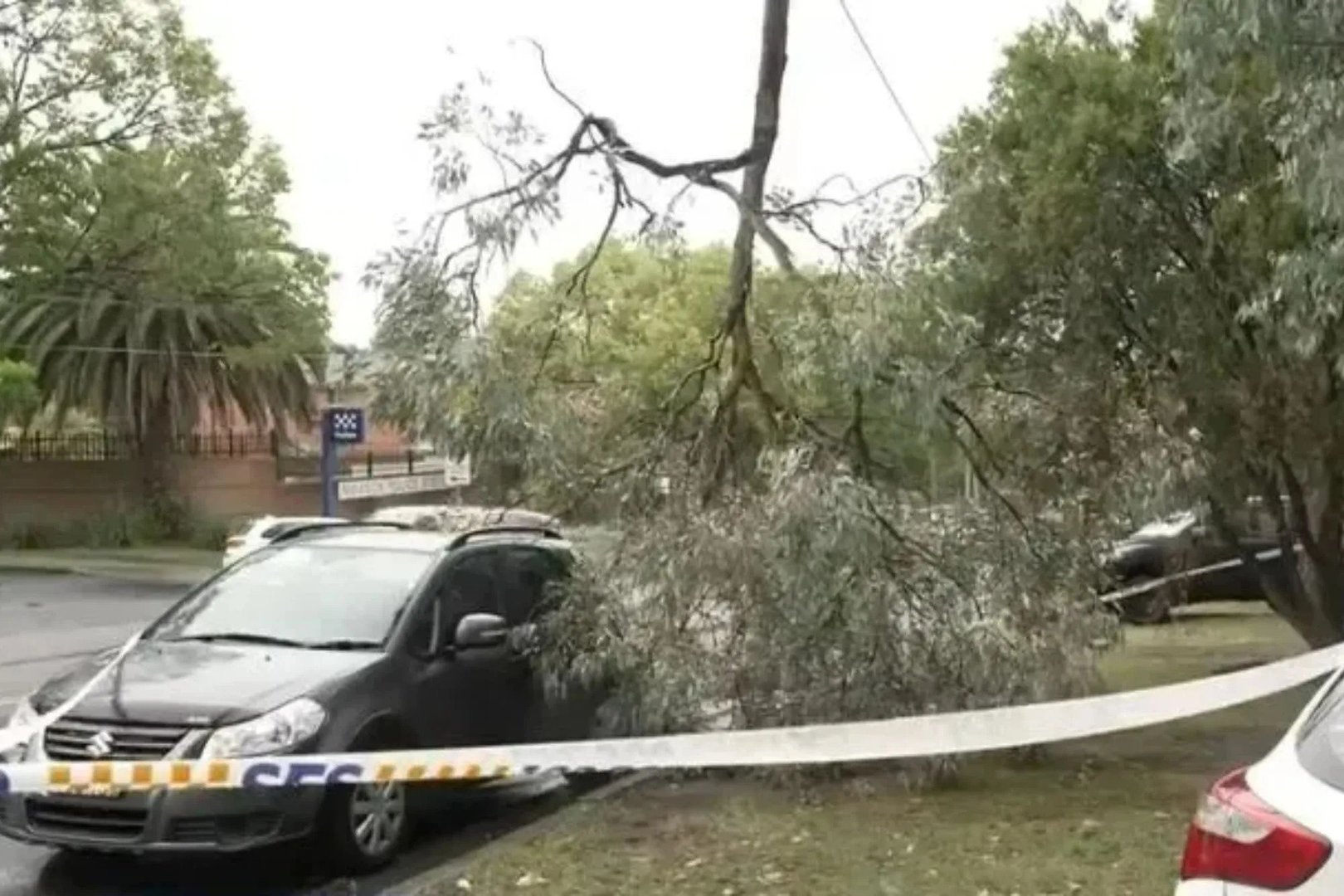 Severe Storms in New South Wales Claim Life and Trigger Evacuation Alerts as Flash Flood Risk Escalates