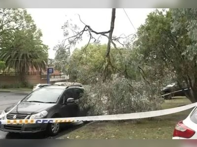 Severe Storms in New South Wales Claim Life and Trigger Evacuation Alerts as Flash Flood Risk Escalates