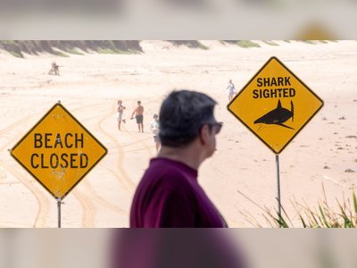 String of Four Shark Attacks Along New South Wales Coast Triggers Urgent Safety Warnings
