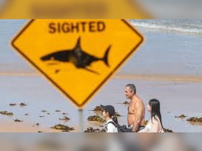 Open Water Swimming Events Cancelled in Australia After Four Shark Attacks Along New South Wales Coast