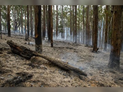 Record Heatwave in Australia Amplifies Bushfires and Triggers Widespread Power Failures