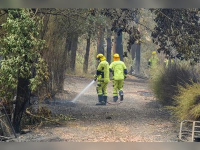 Record Heatwave in Australia Amplifies Bushfires and Triggers Widespread Power Failures