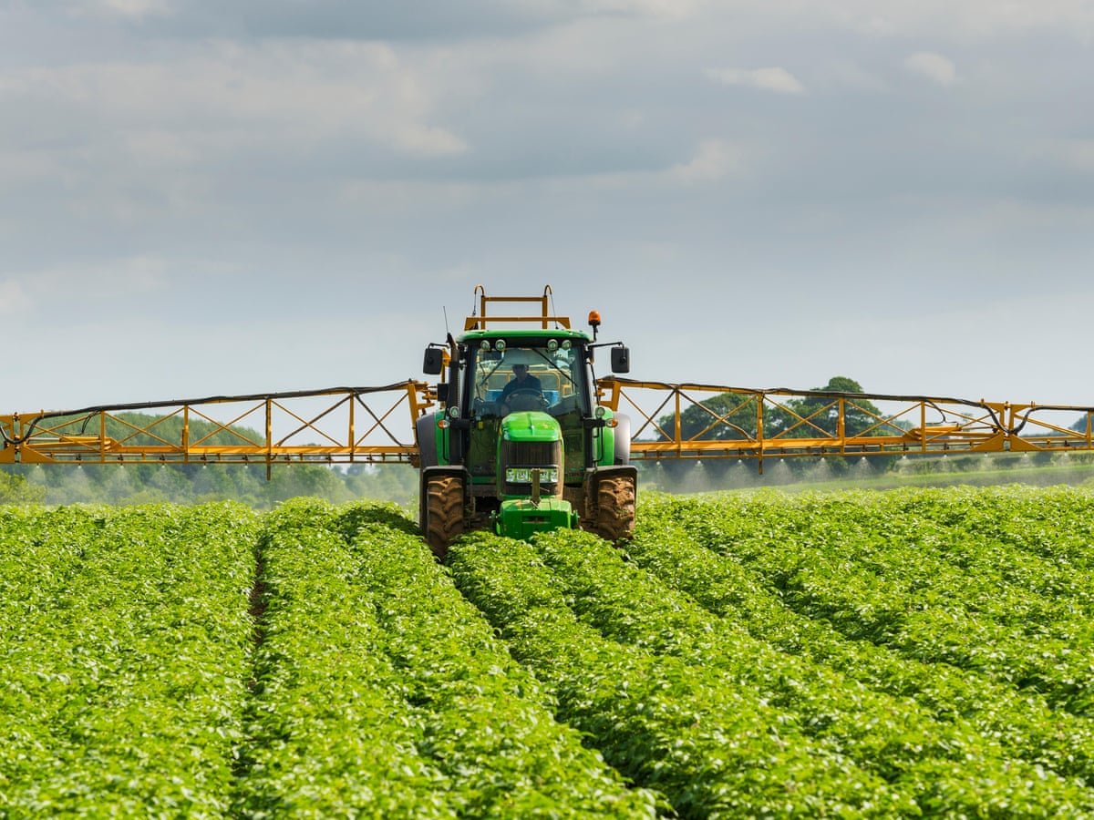 UK Food Sector Urges Transition Period in Light of Post-Brexit Regulatory Reset Talks with EU