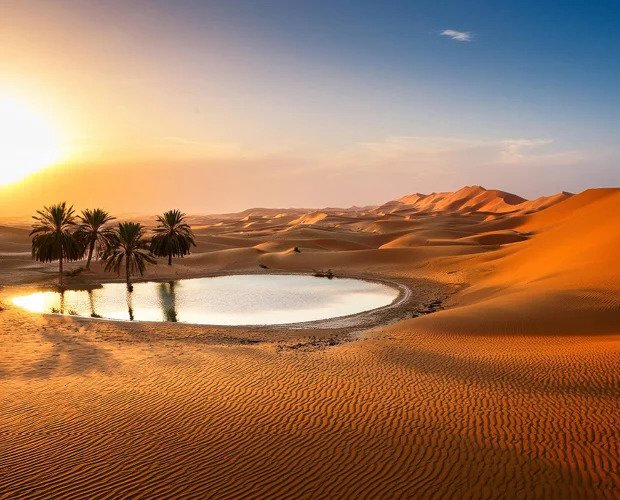 Saudi Arabia Tightens Oversight of Expatriate Job Titles in Sweeping Labour Reform