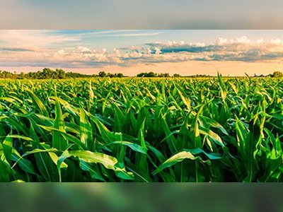 U.S. Corn Industry Showcases Quality and Reliability to Saudi Market